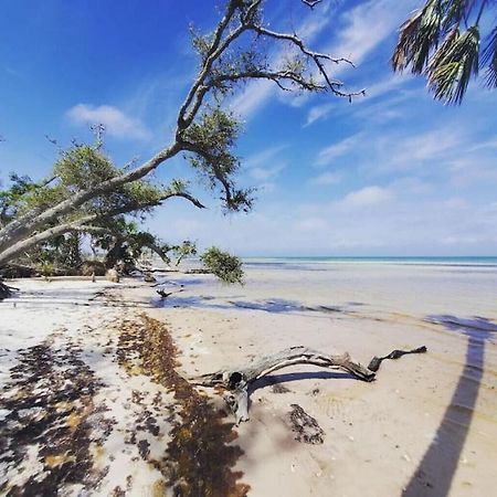 Tortuga Tillys Cape San Blas Bagian luar foto