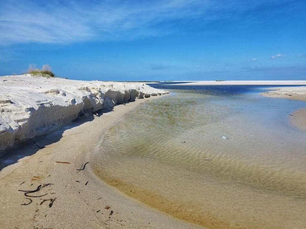 Tortuga Tillys Cape San Blas Bagian luar foto
