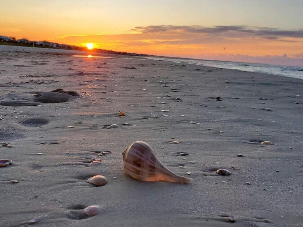 Tortuga Tillys Cape San Blas Bagian luar foto