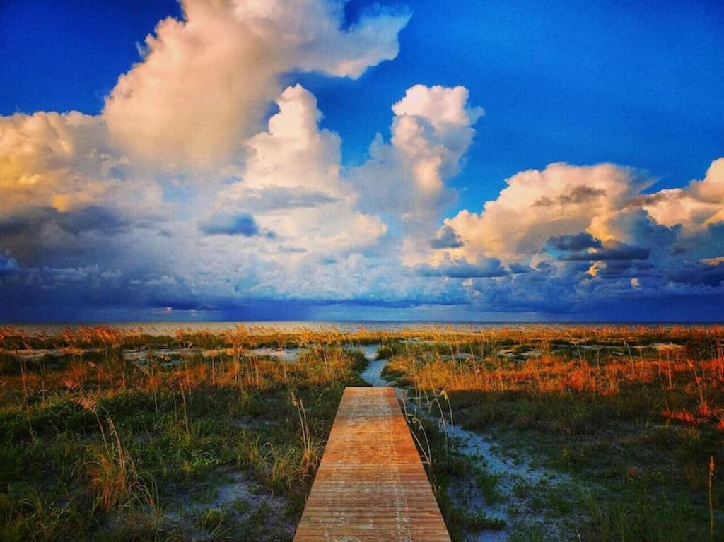 Tortuga Tillys Cape San Blas Bagian luar foto