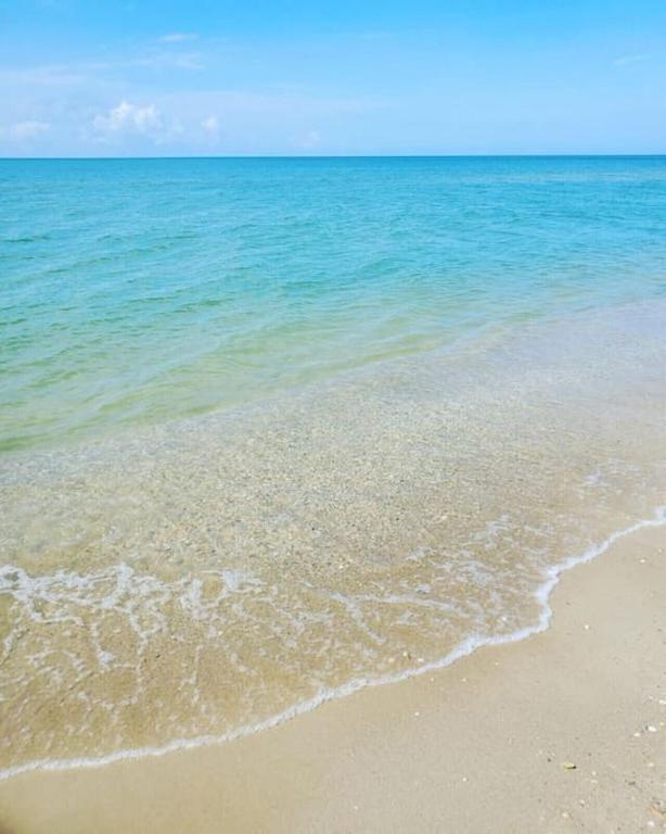 Tortuga Tillys Cape San Blas Bagian luar foto