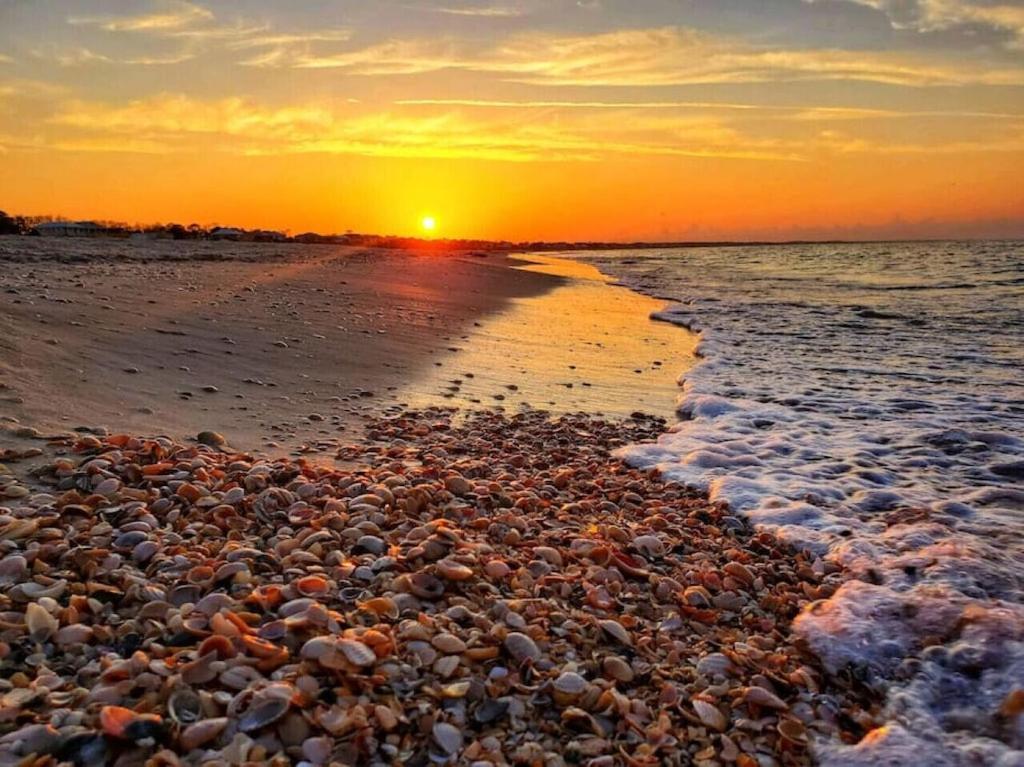 Tortuga Tillys Cape San Blas Bagian luar foto