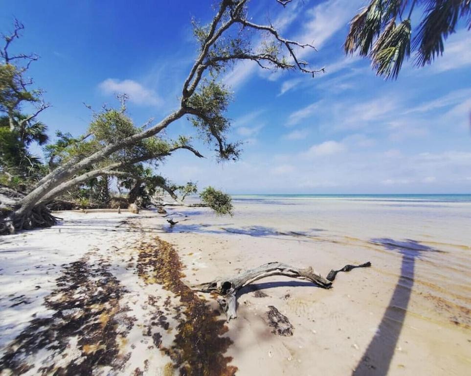 Tortuga Tillys Cape San Blas Bagian luar foto